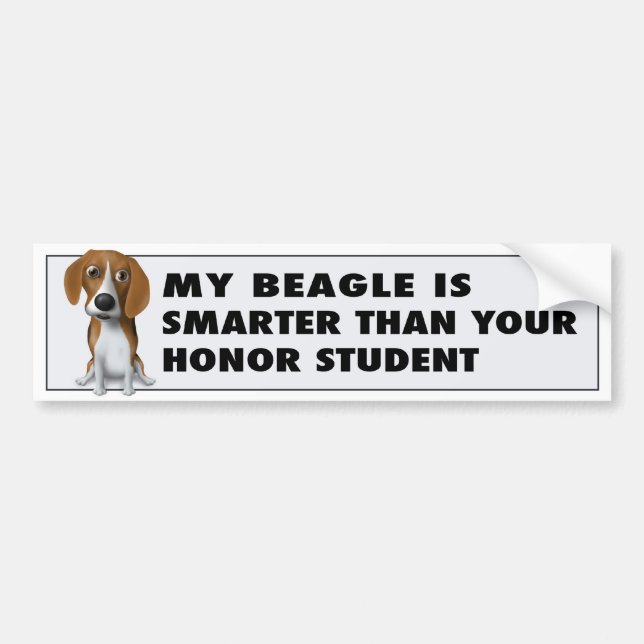 Beagle Honour Student BEA1 Bumper Sticker (Front)