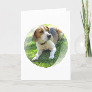Beagle Hound Dog Greeting Card