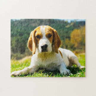 Beagle Hound Dogs. Jigsaw Puzzle