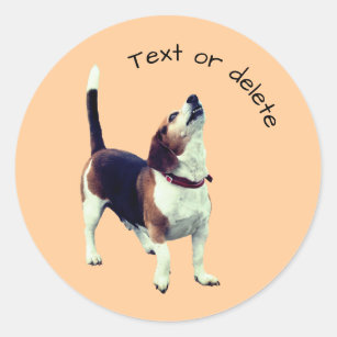 Beagle Howling Dog Personalised Classic Round Sticker