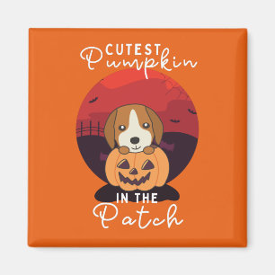 Beagle In Pumpkin Dogs Cutest Pumpkin In The Patch Magnet