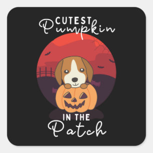 Beagle In Pumpkin Dogs Cutest Pumpkin In The Patch Square Sticker