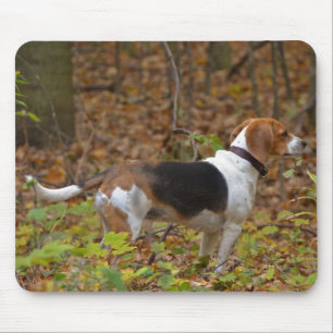Beagle in Woods Mouse Mat