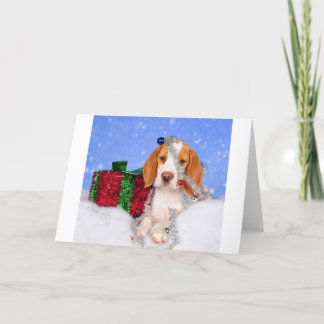 Beagle Jingle Holiday Card