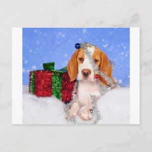 Beagle Jingle Holiday Postcard