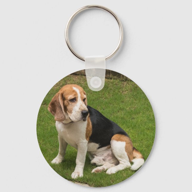 Beagle Key Ring (Front)