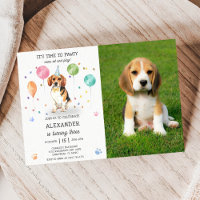 Beagle Lets Pawty Dog Puppy Birthday Blue Photo