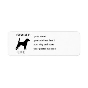 Beagle life