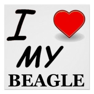 beagle love poster