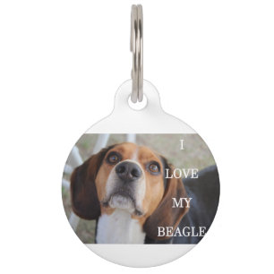 beagle love w pic black red white pet tag