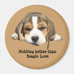 Beagle Magnet