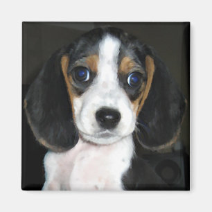 Beagle Magnet 2