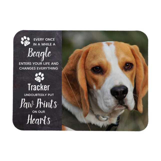 Beagle Memorial Magnet (Horizontal)