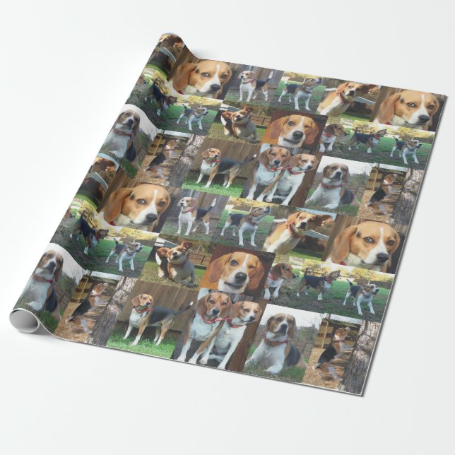 Beagle Montage Wrapping Paper To Howl About (Unrolled)