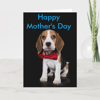 Beagle Mother's Day Card
