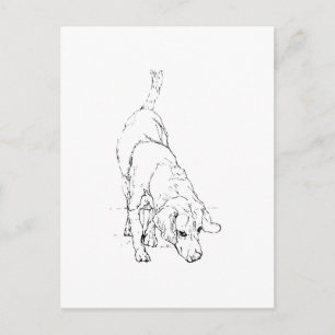 Beagle Mug – Hand Drawn Ink Dog  Postcard