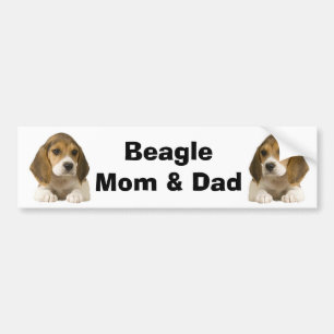 Beagle Mum & Dad Bumper Sticker