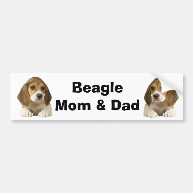 Beagle Mum & Dad Bumper Sticker (Front)