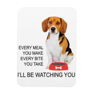 beagle mum every meal you make ill be watching bea magnet