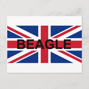 beagle name england United_Kingdom flag Postcard