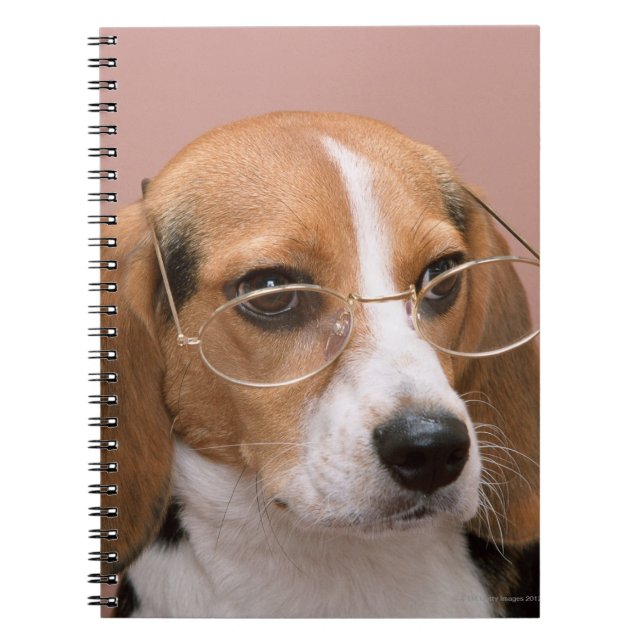 Beagle Notebook (Front)