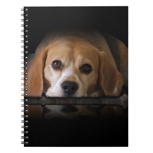 Beagle Notebook (Front)