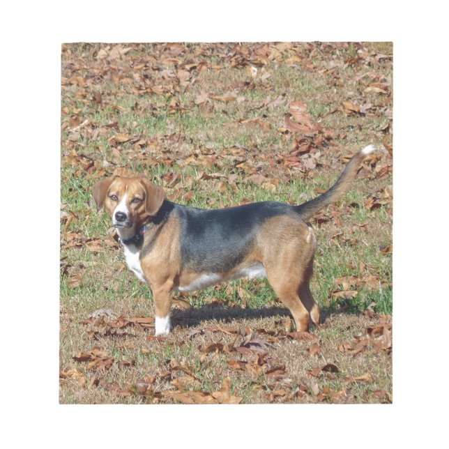 Beagle Notepad (Front)
