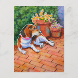 Beagle on Brick Patio Postcard