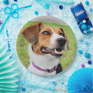 Beagle Paper Plate