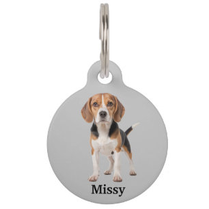 Beagle Personalise Pet Tag