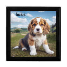 Beagle Personalised Jewellery Keepsake Box