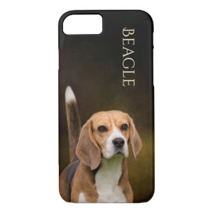 beagle presents