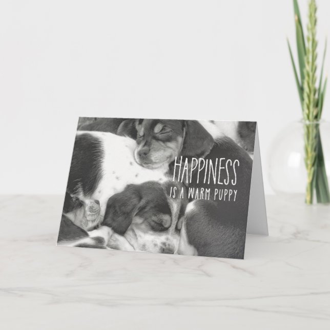 BEAGLE PILE Greeting Card (Front)