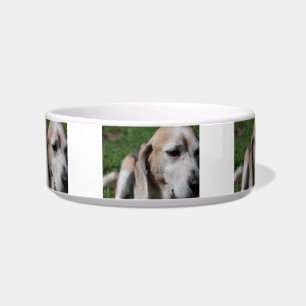 beagle portrait bowl