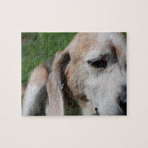 beagle portrait jigsaw puzzle