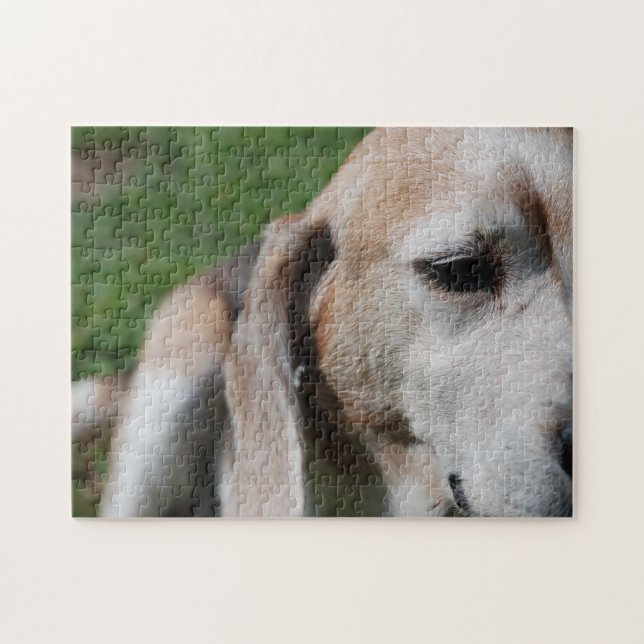 beagle portrait jigsaw puzzle (Horizontal)