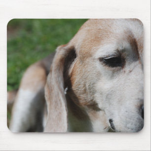 beagle portrait mouse mat