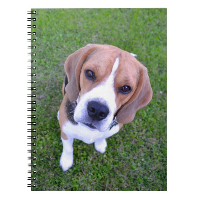 Beagle Portrait Notebook (Front)