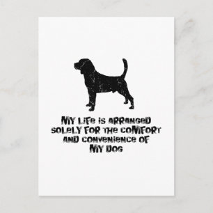 Beagle Postcard