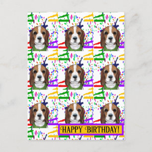 Beagle postcard