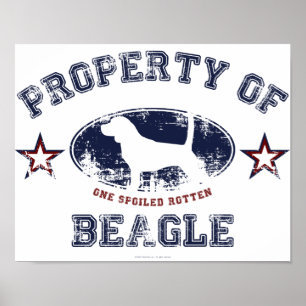 Beagle Poster