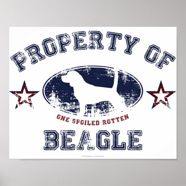 Beagle Poster (Front)