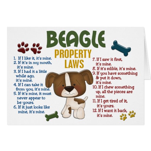 Image of Beagle Property Laws 4