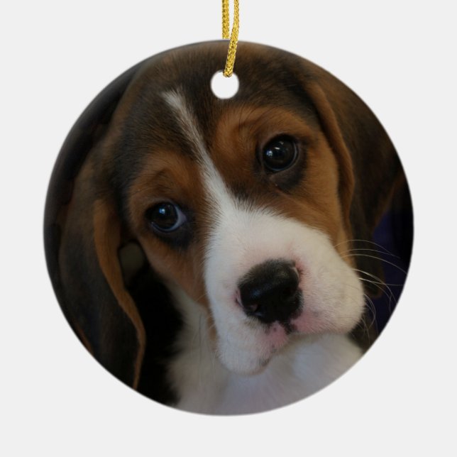 Beagle pup Christmas Ornament (Front)