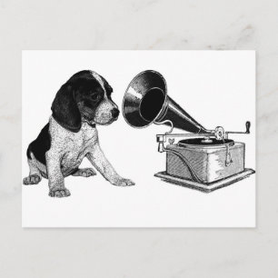 Beagle Pup with Gramophone Postcard