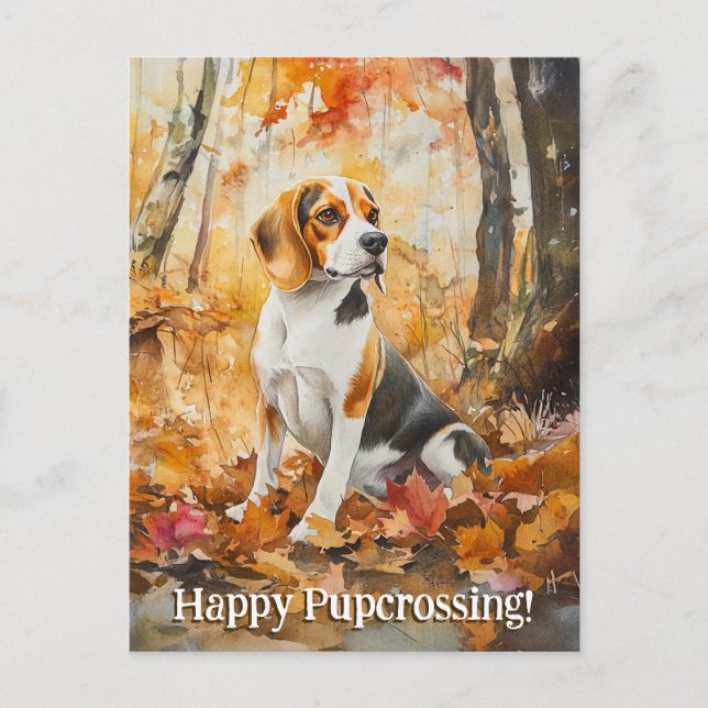 Beagle Pupcrossing - Postcard (Front)