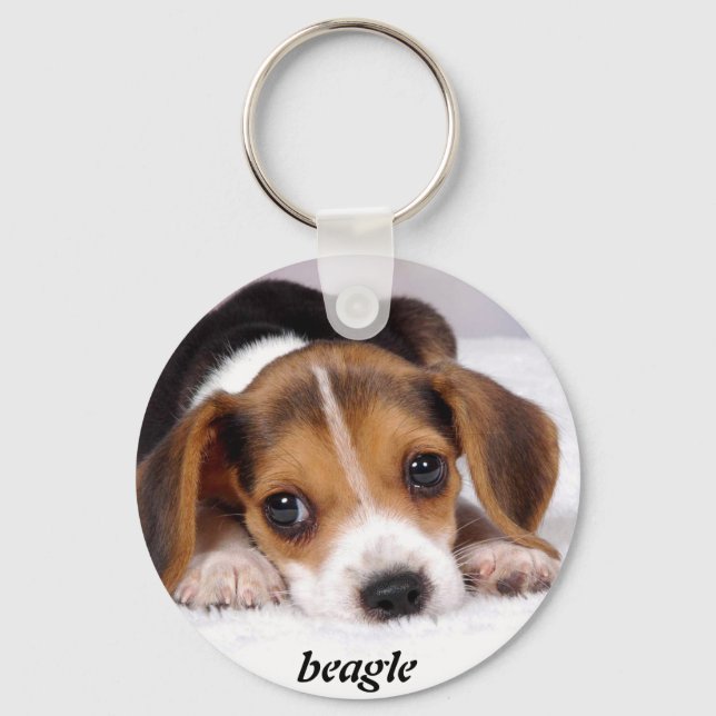 beagle-puppies-wallpaper-11.jpg, beagle key ring (Front)