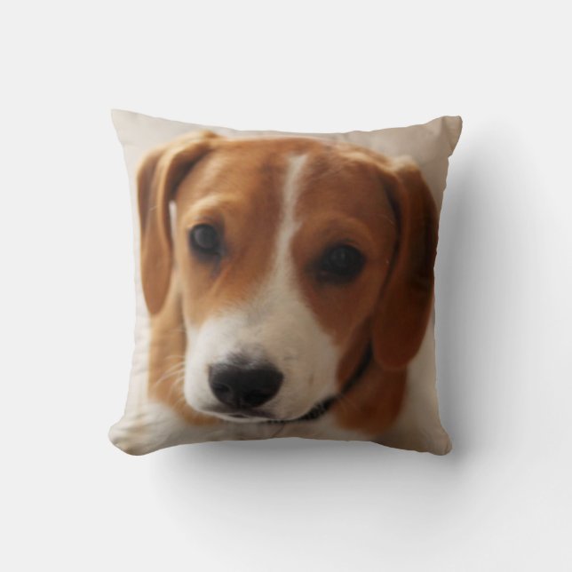 Beagle Puppy 2 Cushion (Front)