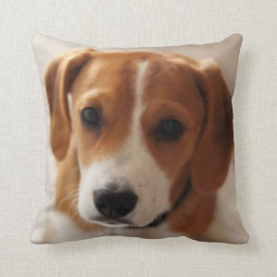 Beagle Puppy 2 Cushion