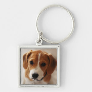 Beagle Puppy 2 Key Ring